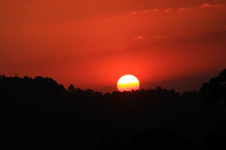 Wonderful sunset and silhouette treeの写真素材