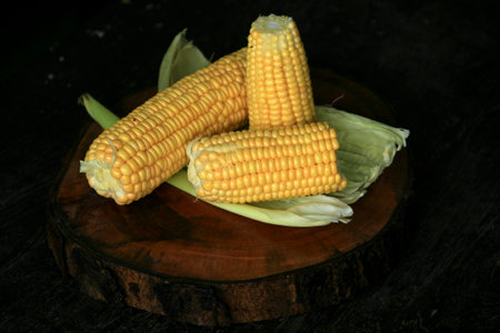 sweet corn which is delicious and healthyの写真素材
