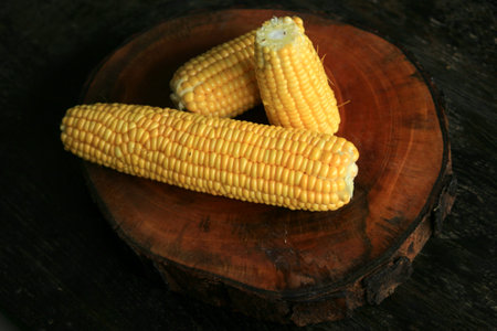 sweet corn which is delicious and healthyの写真素材