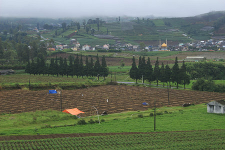 Photo of Dieng Plateau natural scenery at dawn in the morning