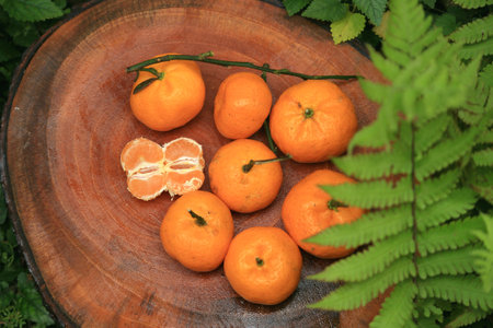 Fresh orange fruitの写真素材