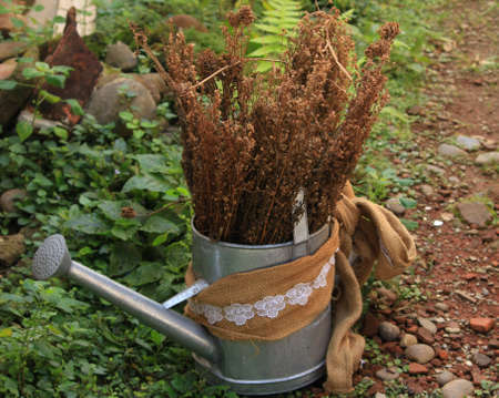 dried flower bouquet for weddings, valentines, gifts and decorations.の写真素材