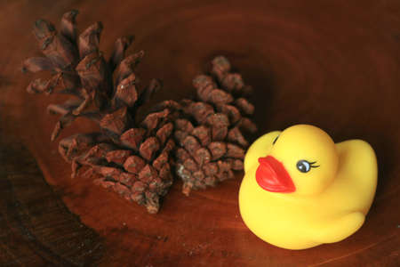 miniature cute duck game for decorationの写真素材