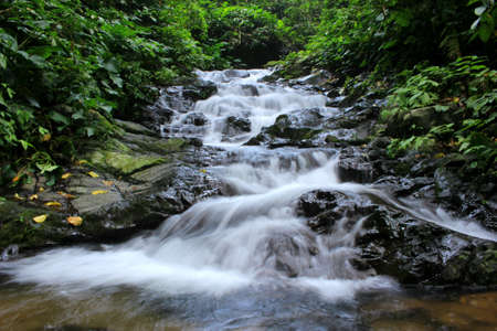beautiful clear river flow in tropical forest.の写真素材