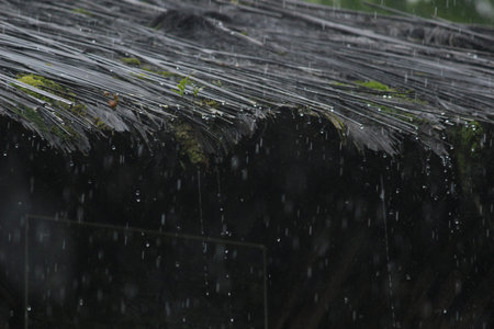 relaxed and romantic atmosphere, raindrops falling on the roof of a house made of wood grain in the...