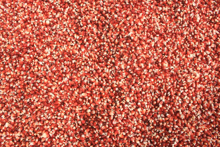 detail of red corn kernels with artistic abstract pattern. more beautiful with sharp details.の写真素材