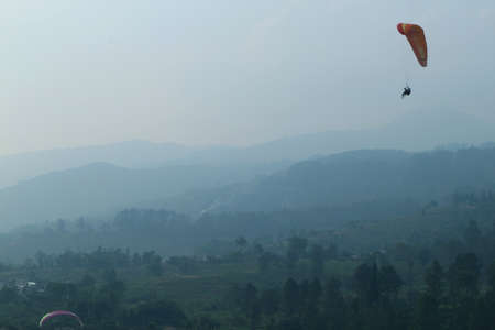 High-mountain tea plantation, west javaのeditorial素材