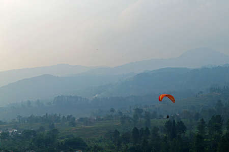 High-mountain tea plantation, west javaのeditorial素材