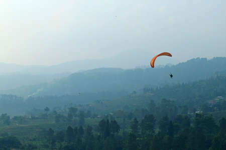 High-mountain tea plantation, west javaのeditorial素材