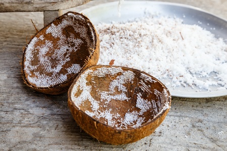 coconut, Coconut fiber の写真素材