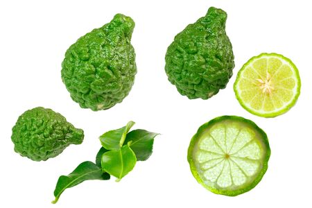 Bergamots の写真素材