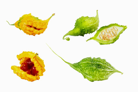 Bitter gourd 