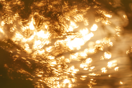 Leaves bokeh, blur  Silhouette background on sunsetの写真素材