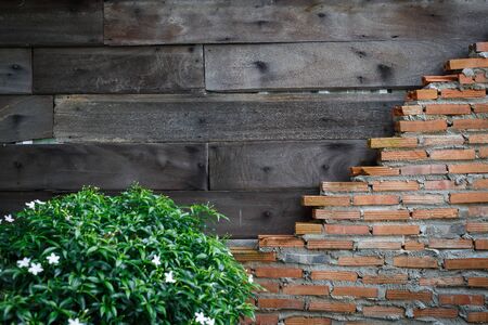 The old wood background and brick and tree foregroundの写真素材
