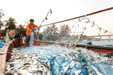 Coastal fishing are helping to take the fishs out of the nets, at Nakhon Si Thammarat province Thailand on March 20, 2015のeditorial素材