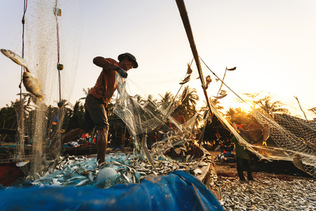 Coastal fishing are helping to take the fishs out of the nets, at Nakhon Si Thammarat province Thailand on March 20, 2015のeditorial素材