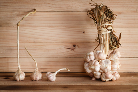 Dried Garlic on wood backgroundの写真素材