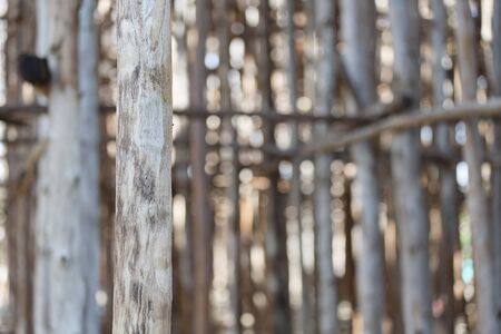 Wood Scaffolding on a construction site of a new building and blur backgroundの写真素材