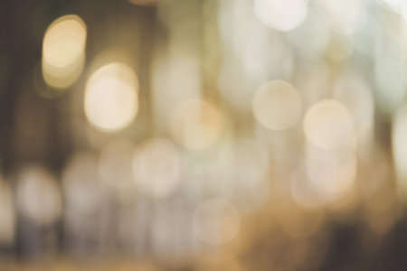 Beautiful Festive blur background, twinkled bright with bokeh defocused lighting