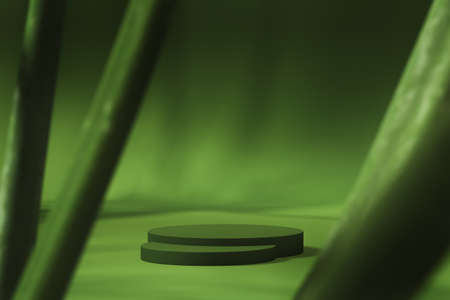 green base two step in green studio, there is a blur of plant in the foreground, mockup for product presentation. 3d renderingの写真素材