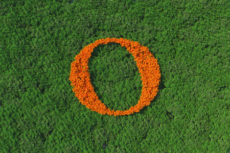 The orange forest whole note melody on top green forest. Melody concept 3D rendering.