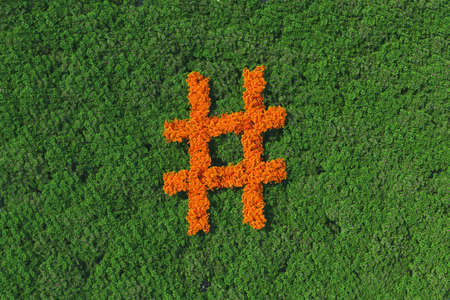 The orange forest sharp melody on top green forest. Melody concept 3D rendering.の写真素材