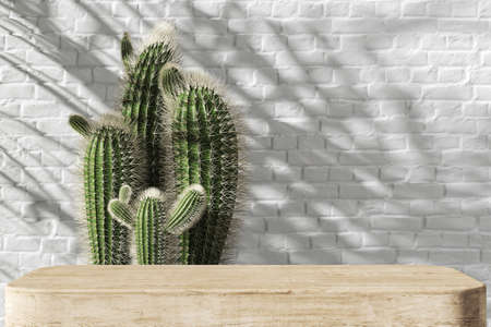 The white platform for product presentation, small plants and white brick wall background, Tropical plants shade on background. 3d renderingの写真素材