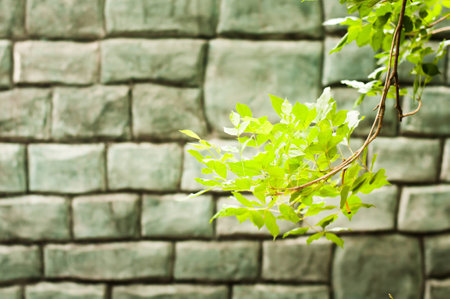 Decorative toilet wall by stoneの写真素材