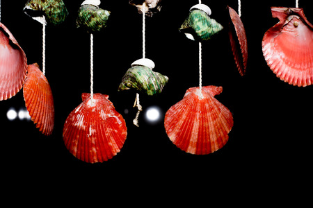 This is hanging shell for decorate my home