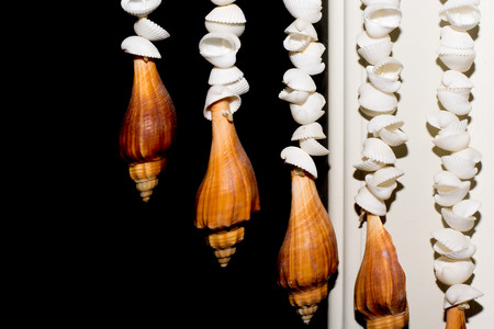 This is hanging shell for decorate my home