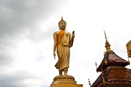 Gold Buddha Status  In standing behind a sky の写真素材