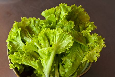 Green Lettuce on brown background の写真素材