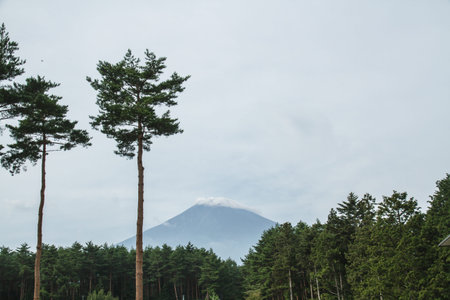 Mount Fuji during the summer with no snow cover.の写真素材