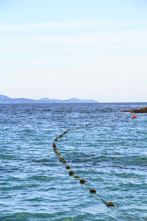 Buoy made ââof coconut on the sea の写真素材