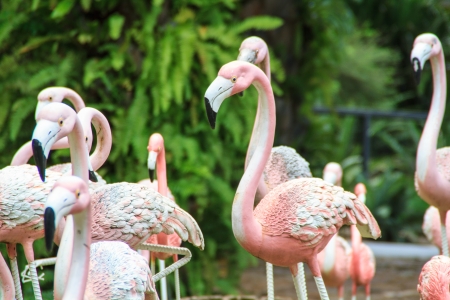 Bird statue at Flamingo pink, white, Nong Nooch Tropical Garden, Pattaya, Chonburi.の写真素材