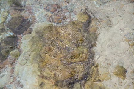 Sea-swept rocky shores, Larn Island, Pattaya  Chonburi 