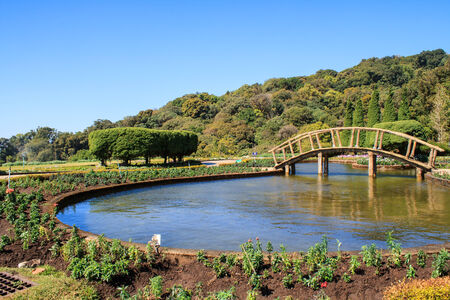 Wooden bridge in park Doi Inthanon, Chiang Mai, Thailand.の写真素材