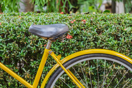 Yellow bicycle parked in the bushes.の写真素材