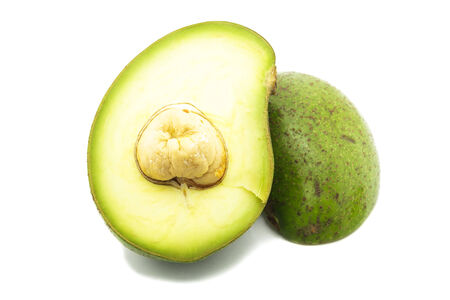 Avocado: Butter of the Forest on the white background.の写真素材