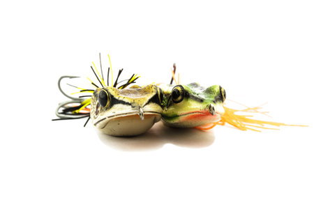 Artificial bait for fishing on white background.の写真素材