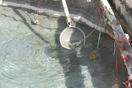 Boil the eggs in hot springs, Fang, Chiang mai, Thailand.の写真素材