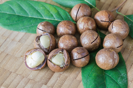 Macadamia nut and leaf on a wooden table.の写真素材