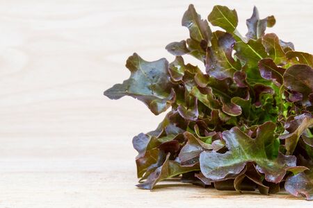 Red oak lettuce fresh on wood table.の写真素材
