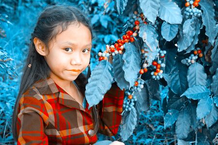 Asia girl in coffee plantations at Chiang mai, Thailand.vintage style.の写真素材