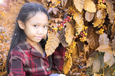 Asia girl in coffee plantations at Chiang mai, Thailand.vintage style.の写真素材