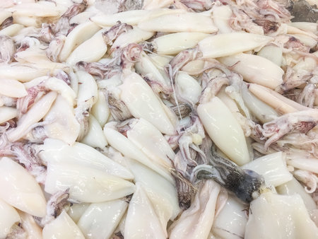 Squid or Cuttlefish raw fresh sell in supermarket