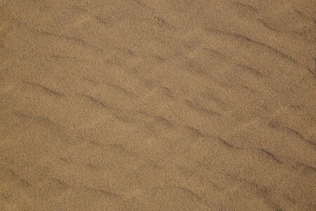 The sand wave texture background with copy space.の写真素材