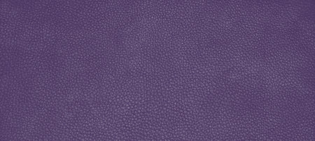 Genuine leather skin texture color Purple Petunia.の写真素材