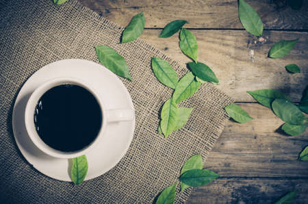 Black coffee with leaves aroundの写真素材