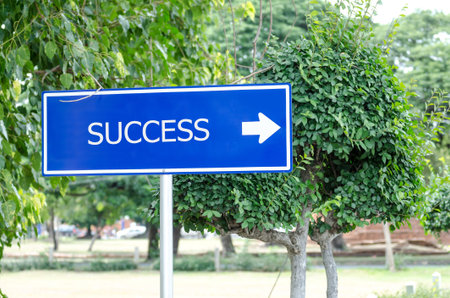 Blue signs of success in green nature concept